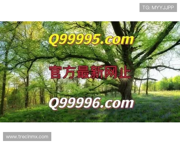 深入了解AG官网真人游戏的规则与技巧，提升游戏水平实现持续盈利